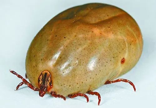 再说说还是得试试堪