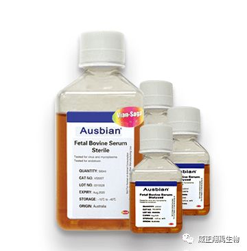 乙草胺是个啥玩意儿？