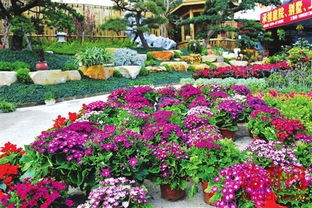 1. 济南市花卉市场批发市场