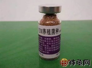 大豆的世界：从田地到餐桌