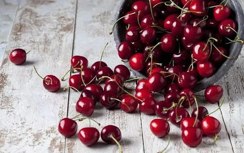 早挖晚播的影响