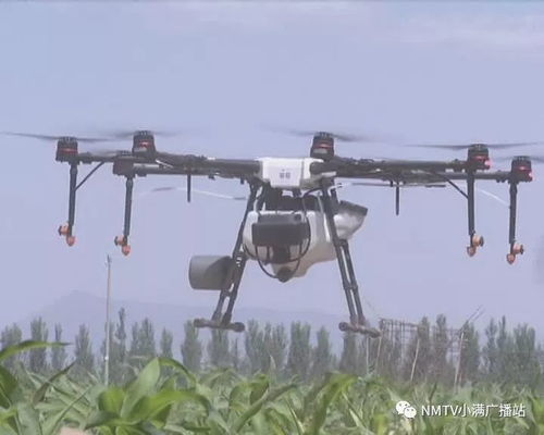 精准喷洒，降低农药使用量