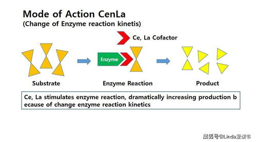 饲料添加剂中稀土总量测定方法有哪些？