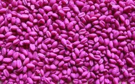 选择合适的土地和肥料