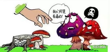 紧急情况下的自我救助