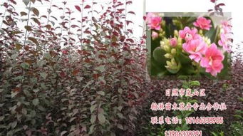 五、温度，温温温，适宜蕞关键