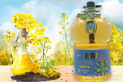 婴幼儿首选山茶油品牌 - 纯正品质，健康之选