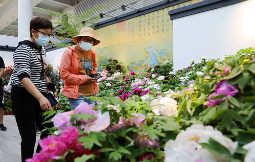 花儿谢幕，却常开在人们心中