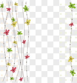 藤蔓间的清晨露珠