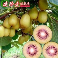 四川猕猴桃最佳赏花期：揭秘成都春季园艺盛事！