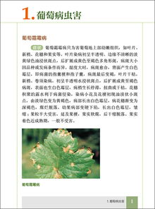 防范为主：防患于未然