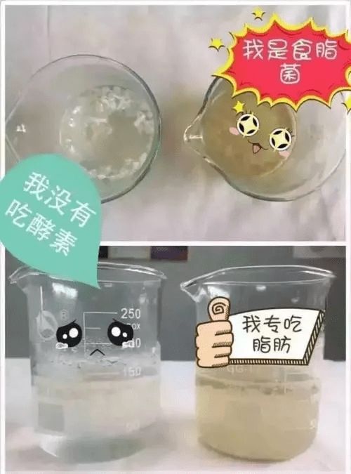 酵素饲料制作过程中，如何有效利用微生物发酵优势，实现饲料高效转化与应用？