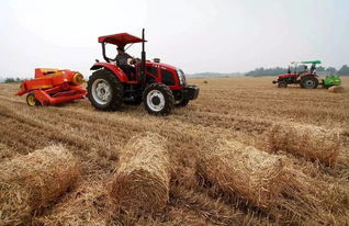 牡丹江秸秆变绿能：环保与新能源的完美结合！