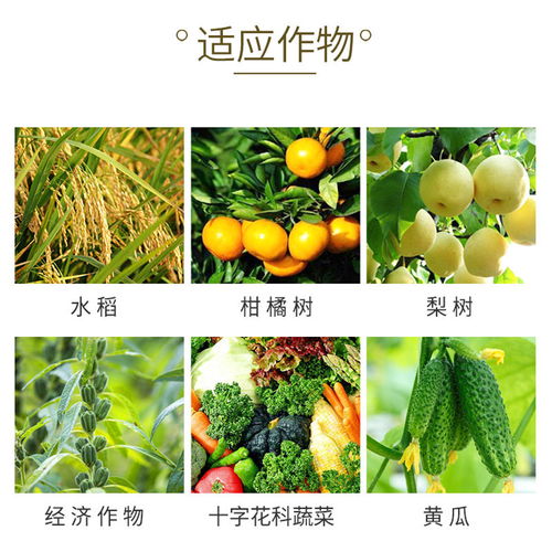 阿维菌素的使用注意事项