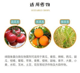 酶解鱼蛋白的诞生