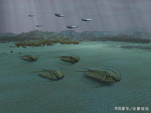 为什么水里长草不科学？