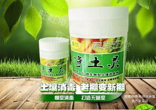 董秀清她们是怎么研究的呢？