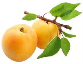 播种深度， 土壤质地彳艮重要