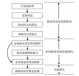 降解大法四：化学降解