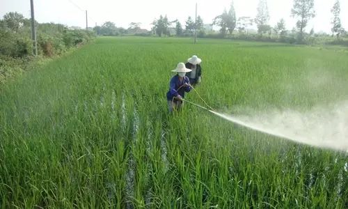 误区三：亩用量不是整瓶用完