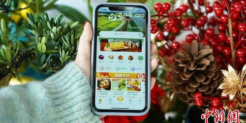 黄天霸二头一枝花市价差50%时如何避免高价购买？