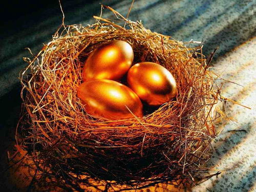 扶桑嫁接：如何选择砧木保成活率90%？