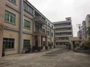 深圳东方星园林绿化公司：梅华路的绿色风景线