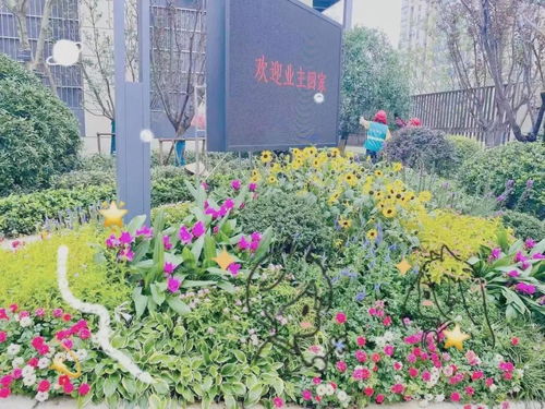 三、 养护雷区要避开