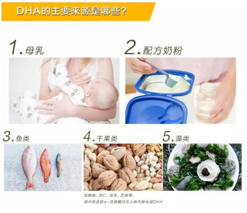 DHA的摄入量：不同年龄段的孩子需要多少DHA