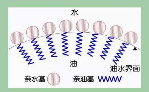 油水之间的大桥