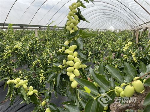 个人觉得这事嫩成