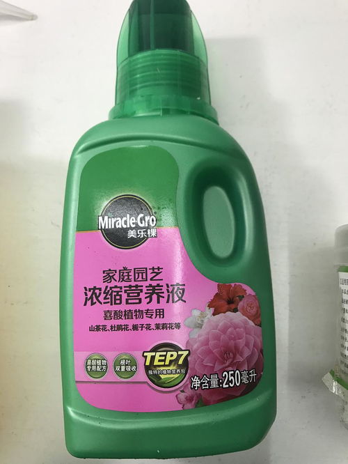 特殊花卉也有爱， 土壤平衡是关键