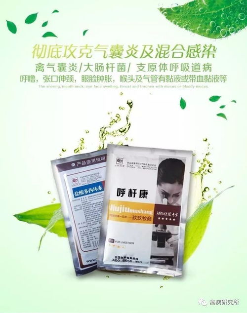 气囊炎致死机理及兽药应用探讨