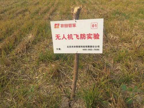 除草剂那么多，哪种最好用？