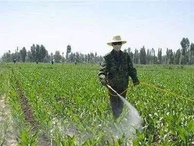 风向和风速，得留意哦！