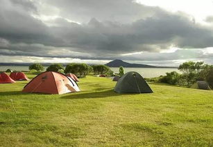 你觉对想不到！浦东这片草坪越冷越绿