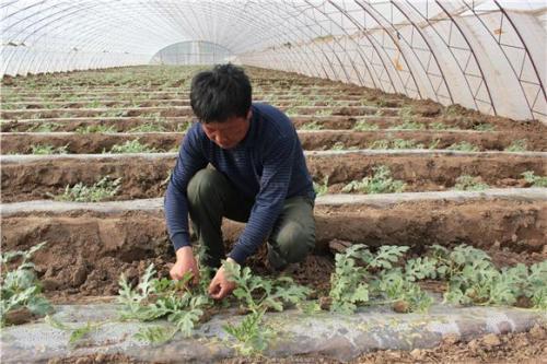 耐心等待，收获的季节要到了