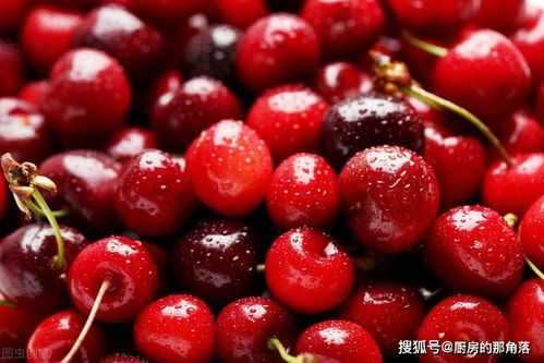 车厘子树苗什么时候种最好？老果农教你种树时间