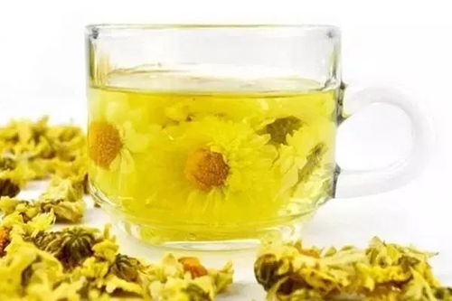 菊花茶养胃吗？长期饮用会对胃造成影响吗