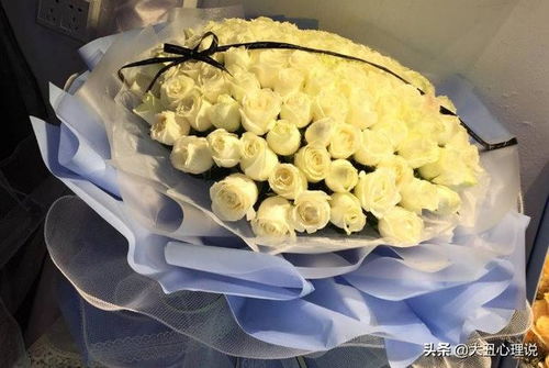 玫瑰花的情感色彩