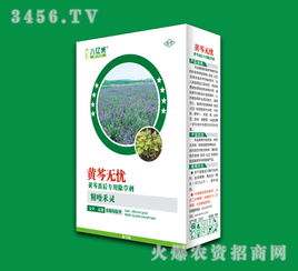 黄芩苗后除草剂成分有哪些？田间管理中用哪种除草剂效果最好？