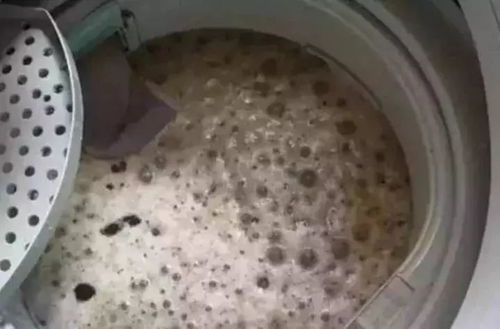 步骤一：清洗外桶