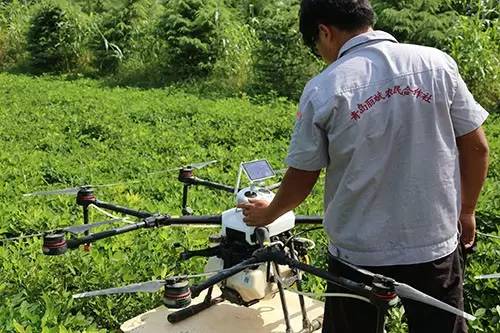 喷农药， 效果杠杠的