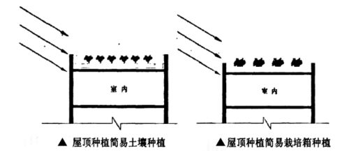 提升畜牧效益：高效修剪技巧与疏枝打顶策略详解