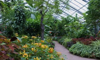 花博会亮点大揭秘