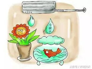 湿度管理是关键