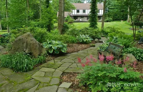 拍照视频， 全方位宣传