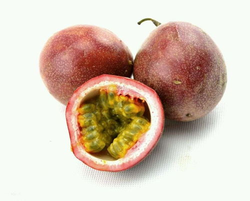 “百香果早结果秘籍，掌握这些技巧！”