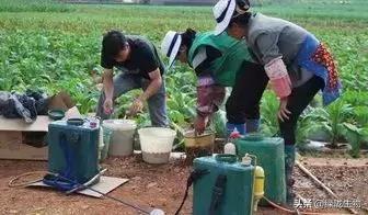 稀释的方法
