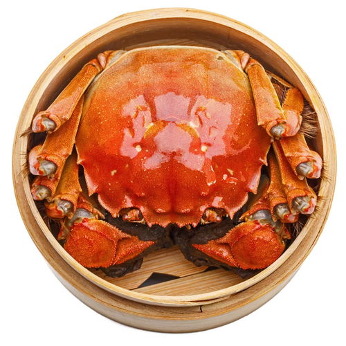 挑选最佳螃蟹：技巧与秘诀，确保肥美肉质！